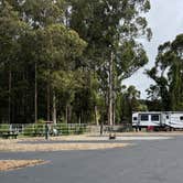Review photo of Costanoa Coastal Lodge & Campground by Lee D., July 13, 2026