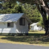 Review photo of Costanoa Coastal Lodge & Campground by Lee D., July 13, 2026