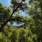 Review photo of Spring Hollow Campground by Christian  R., July 13, 2026