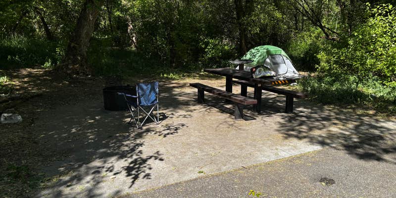 Camper submitted image from Spring Hollow Campground