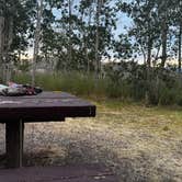 Review photo of Humboldt National Forest Angel Creek Campground by Christian  R., July 13, 2026
