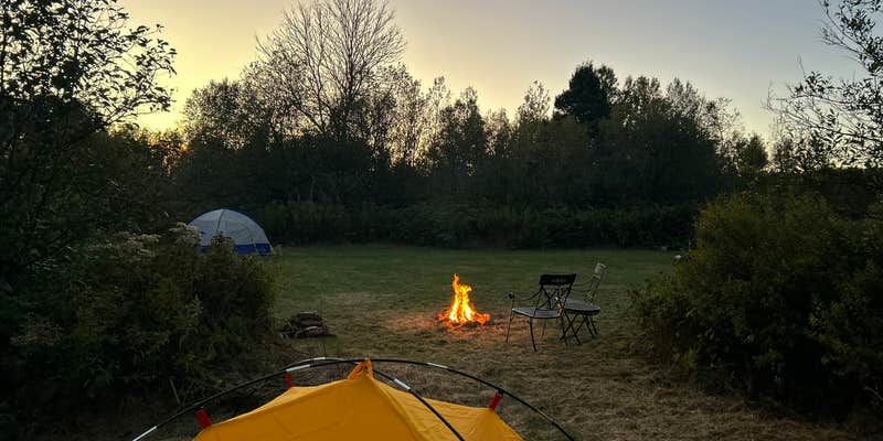 Camper submitted image from Off Grid Star Gazing