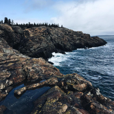 Review photo of Seawall Campground — Acadia National Park by Cierra A., September 30, 2016