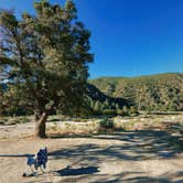 Review photo of Morrow hill dispersed by Elisa H., July 14, 2026