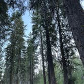 Review photo of Big Meadow Campground by Corey J., July 14, 2026