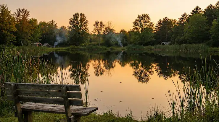 Camping near Chapel in the Pines Campground: Hidden Pines, Hudsonville, Michigan