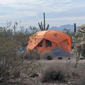 Review photo of Twin Peaks Campground — Organ Pipe Cactus National Monument by Paul H., July 15, 2026