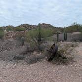 Review photo of Twin Peaks Campground — Organ Pipe Cactus National Monument by Paul H., July 15, 2026
