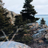 Review photo of Wolfe's Neck Oceanfront Campground by Cierra A., September 30, 2016