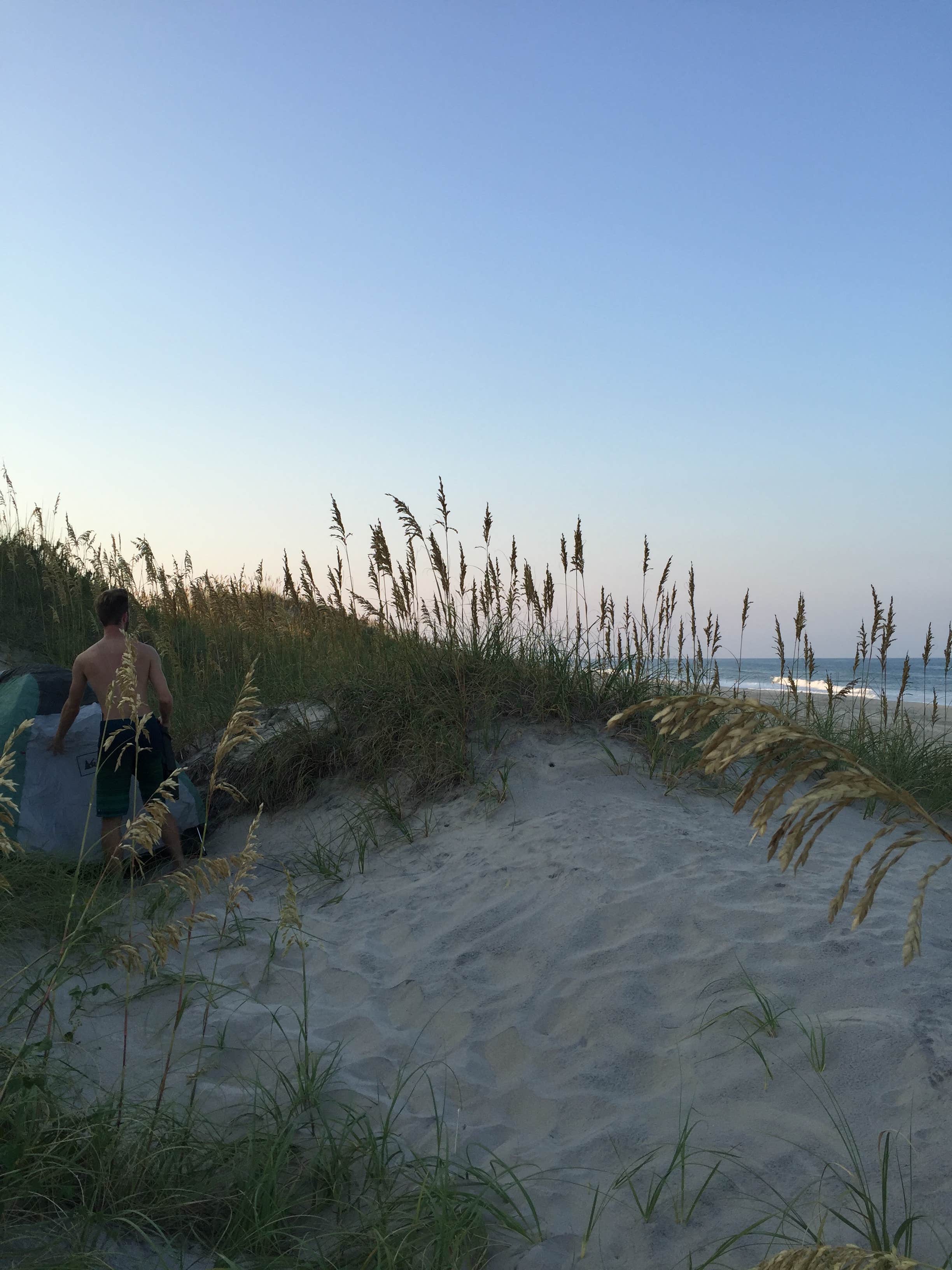 Camper submitted image from Ocracoke Campground — Cape Hatteras National Seashore - 4