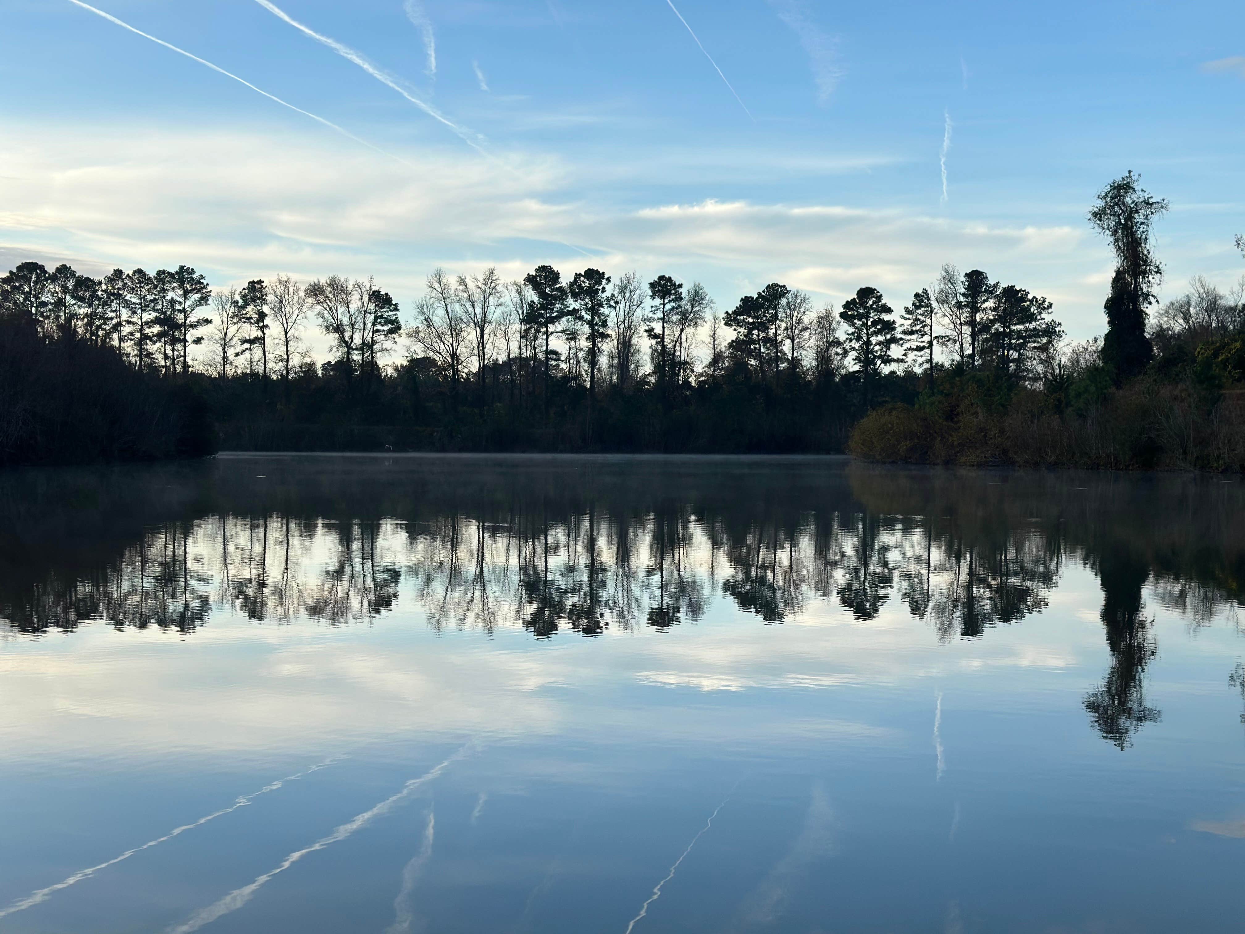 Camper-submitted photo at Magnolia Lane Campground near Maysville, NC