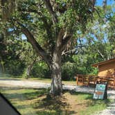 Review photo of Terry Tomalin Campground by Jeanene A., July 16, 2026