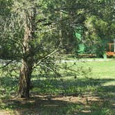 Review photo of Terry Tomalin Campground by Jeanene A., July 16, 2026