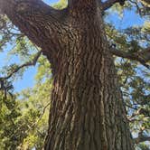 Review photo of Terry Tomalin Campground by Jeanene A., July 16, 2026