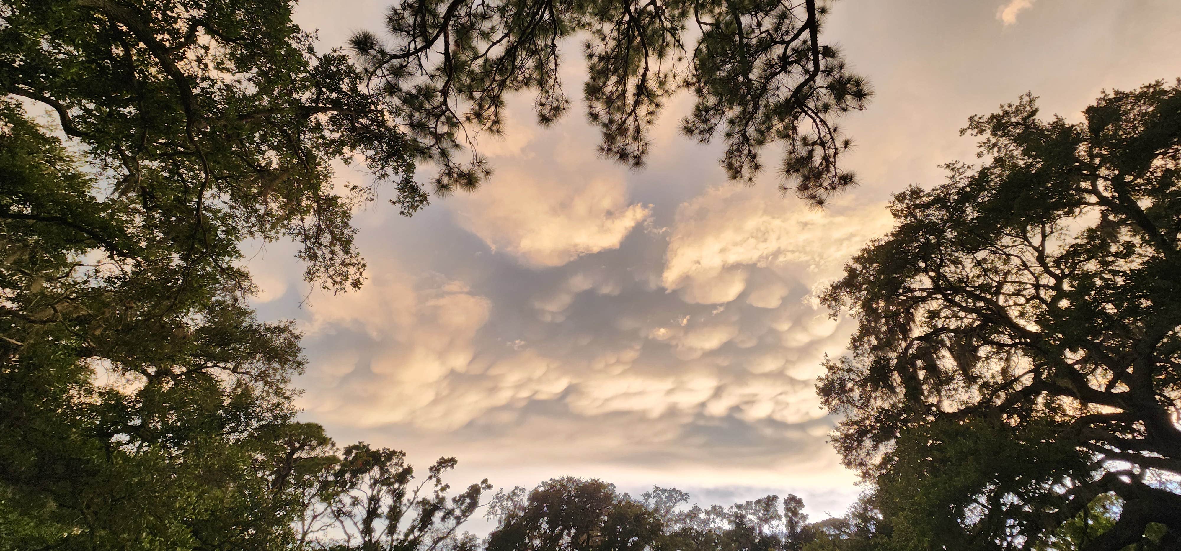Camper-submitted photo at Terry Tomalin Campground near Gulfport, FL