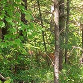 Review photo of Ponderosa Pines Campground by V. S., July 16, 2026