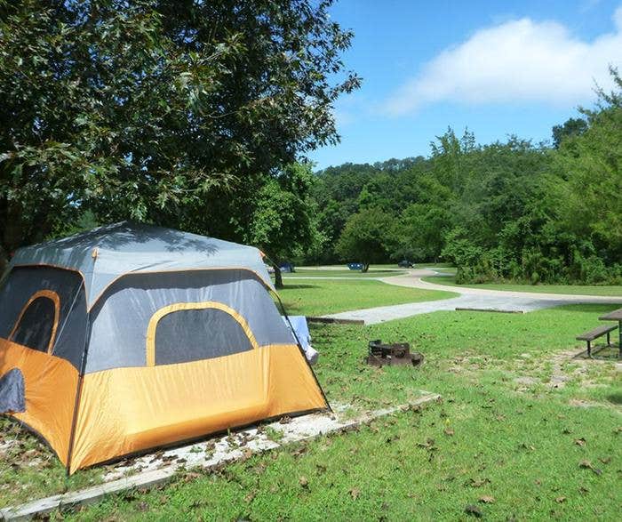Camper-submitted photo at Tyler Bend Campground — Buffalo National River near Buffalo National River