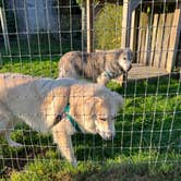 Review photo of Thompson/Grand River Valley KOA Holiday by Holly B., July 17, 2026