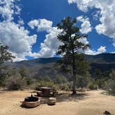 Review photo of Pinyon Flat Campground (San Bernardino National Forest) — San Bernardino National Forest by Jan V., July 17, 2026