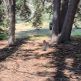 Review photo of Red Table Road, White River National Forest by Jeremy M., July 17, 2026