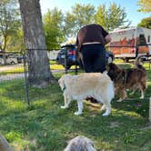 Review photo of Chicago Northwest KOA by Holly B., July 17, 2026