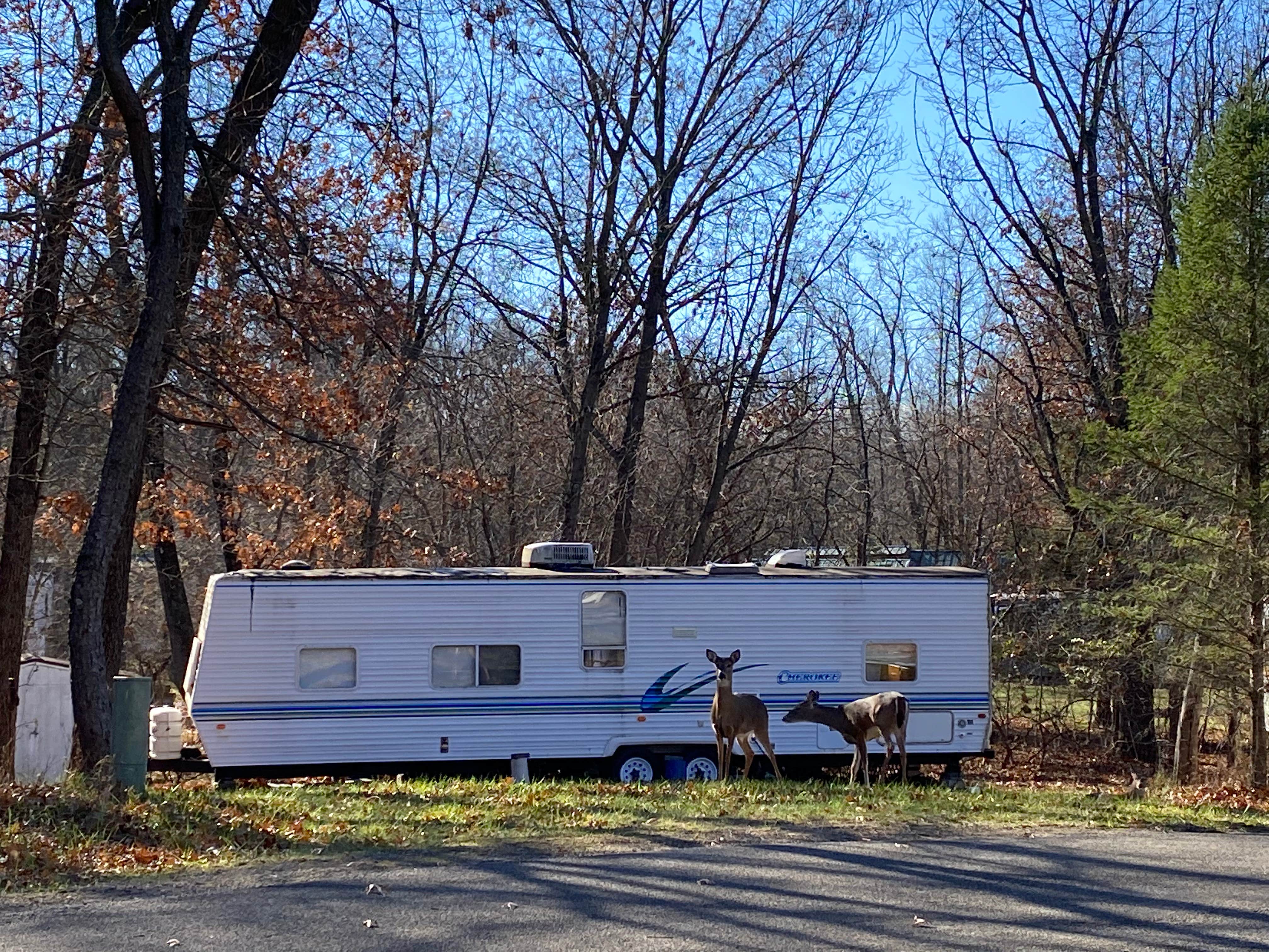 Camper-submitted photo at Woodhaven Lakes near Nachusa, IL
