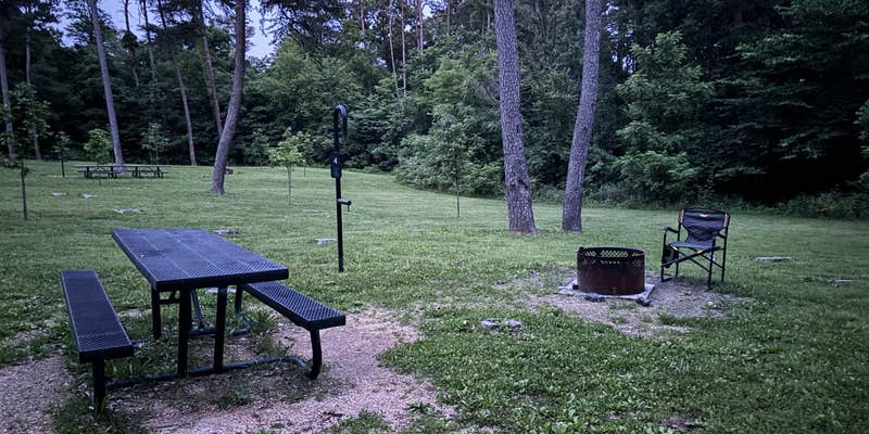 Camper submitted image from Pine Ridge Recreation Area Mark Twain National Forest