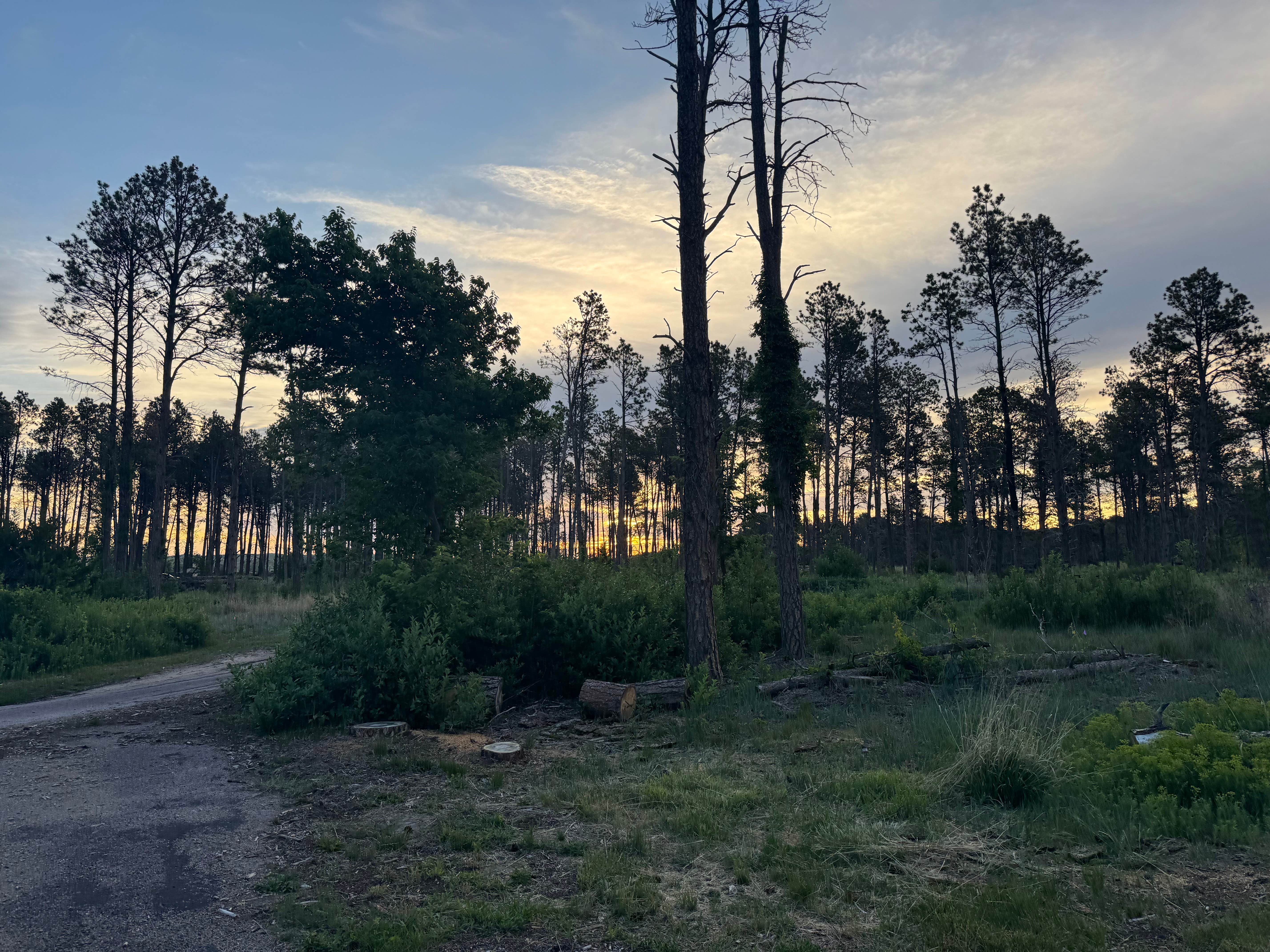 Camper-submitted photo at Steer Creek Campground near Merriman, NE