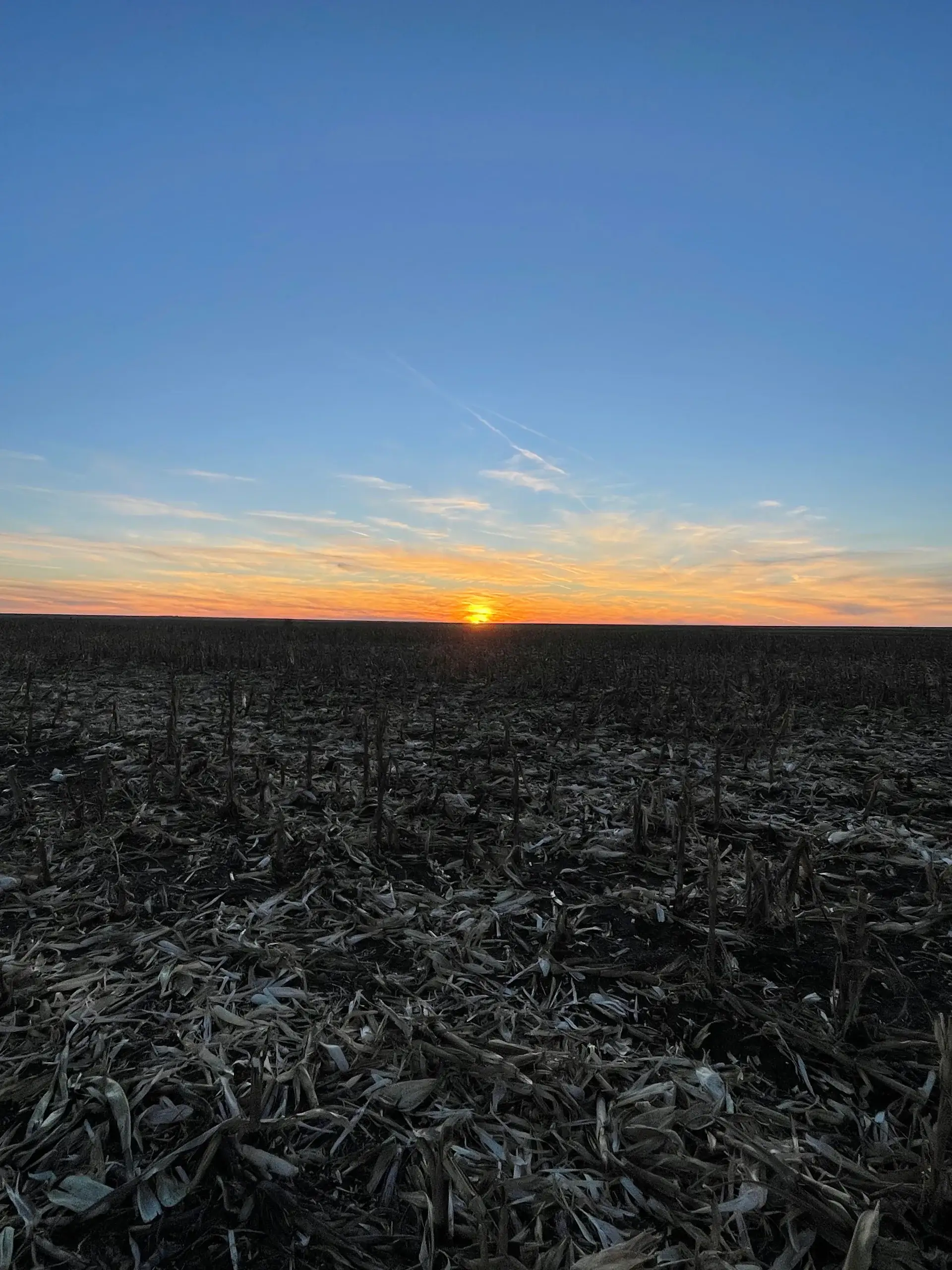 Camper-submitted photo at South Farm Camp near Norton, KS