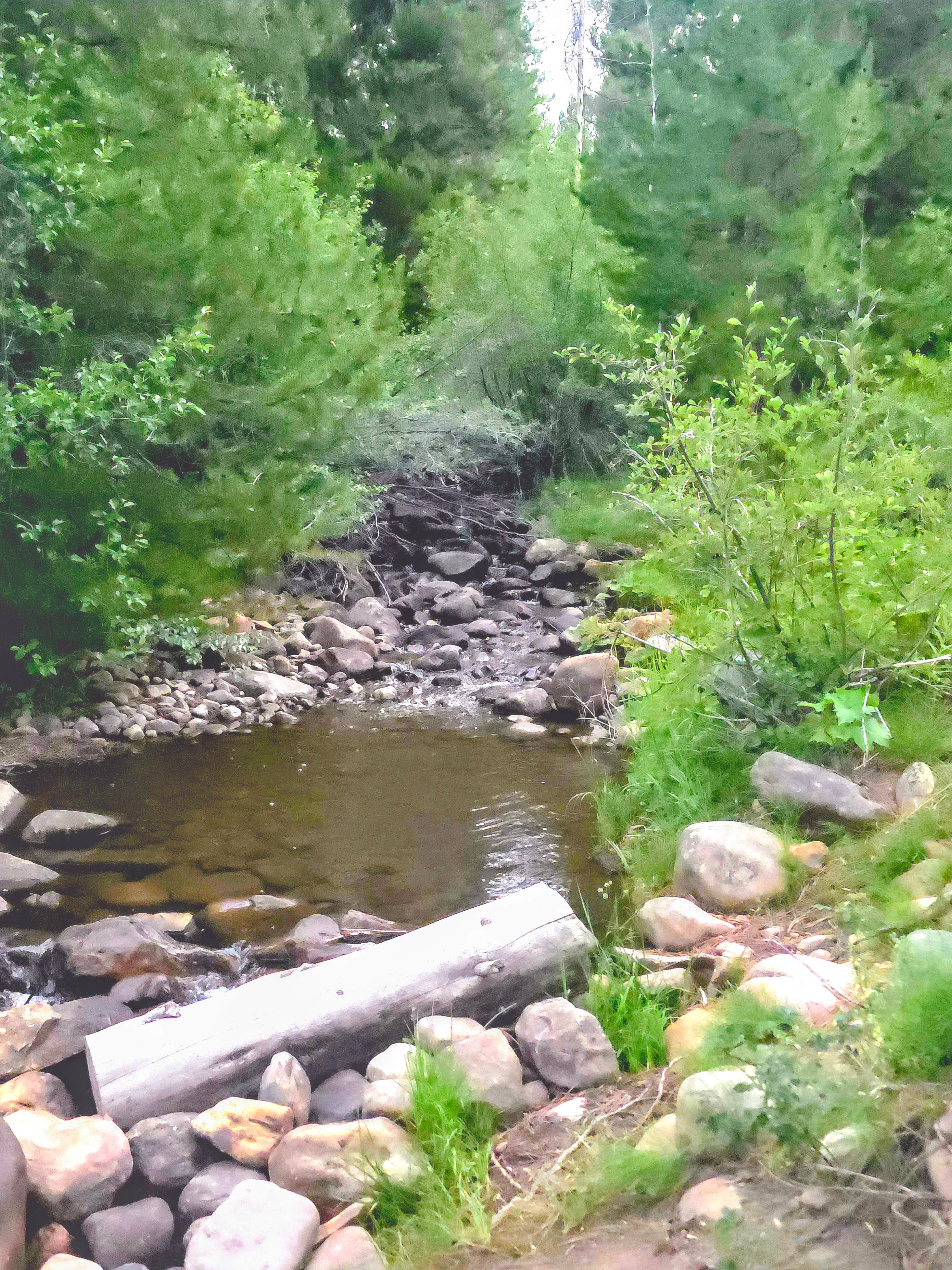 Camper-submitted photo at Yellow Pine Campground (Ut) — Uinta Wasatch Cache National Forest near Oakley, UT