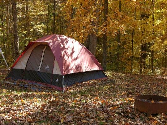 Camper-submitted photo at Forked Run State Park Campground near Parkersburg, WV