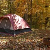 Review photo of Forked Run State Park Campground by Andrew S., September 30, 2016
