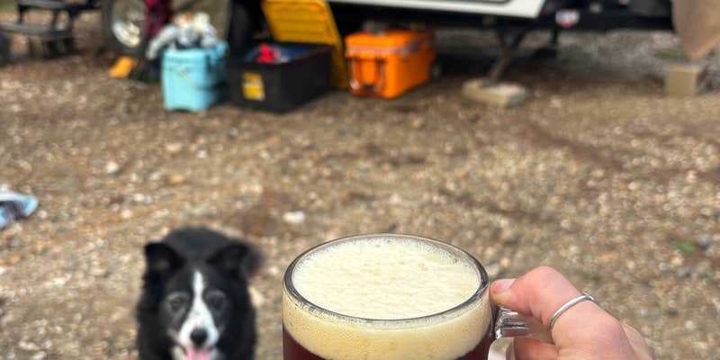Camper submitted image from Quail Circle — Beavers Bend State Park