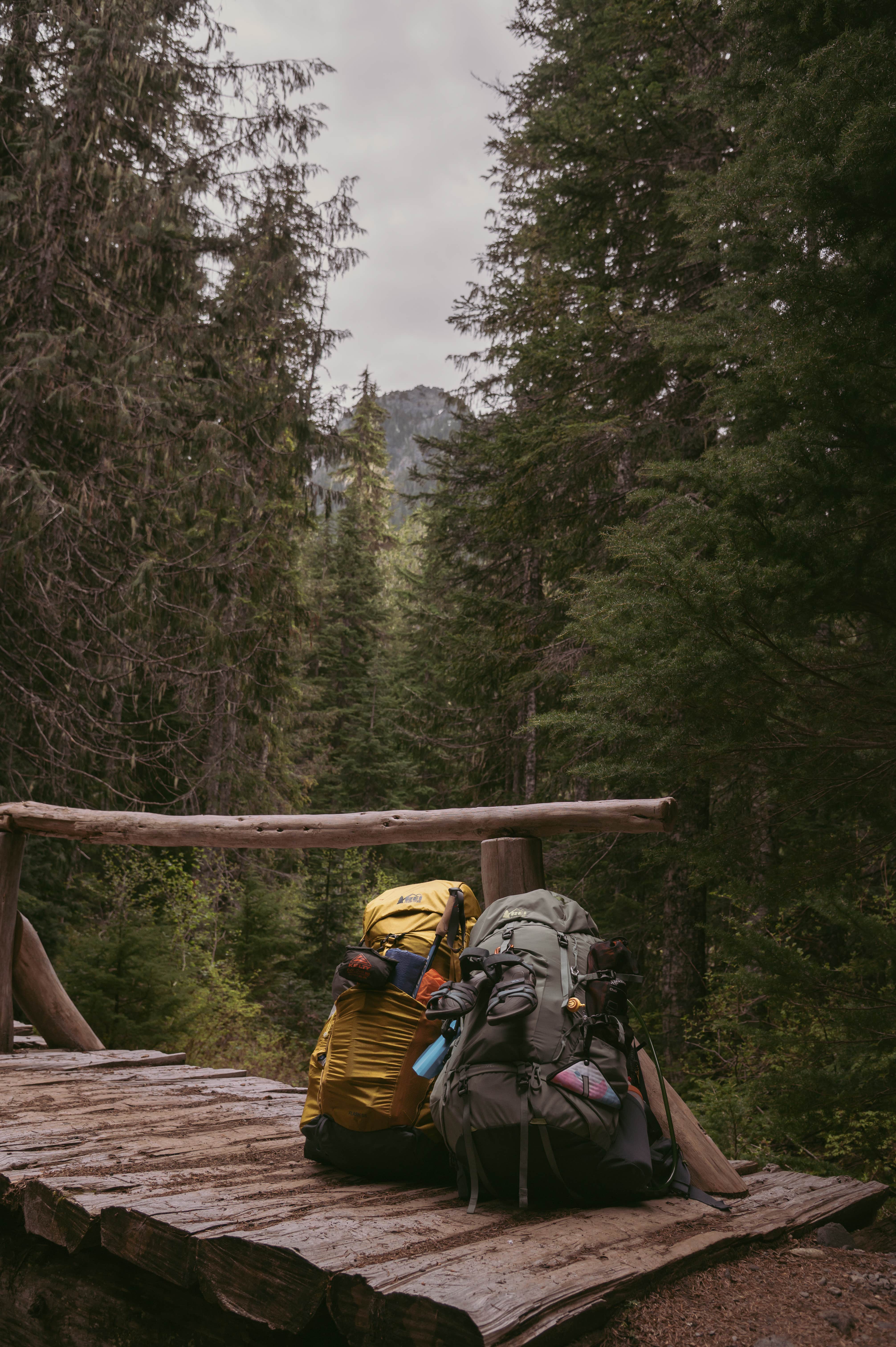 Camper-submitted photo at Paradise River Camp near Packwood, WA