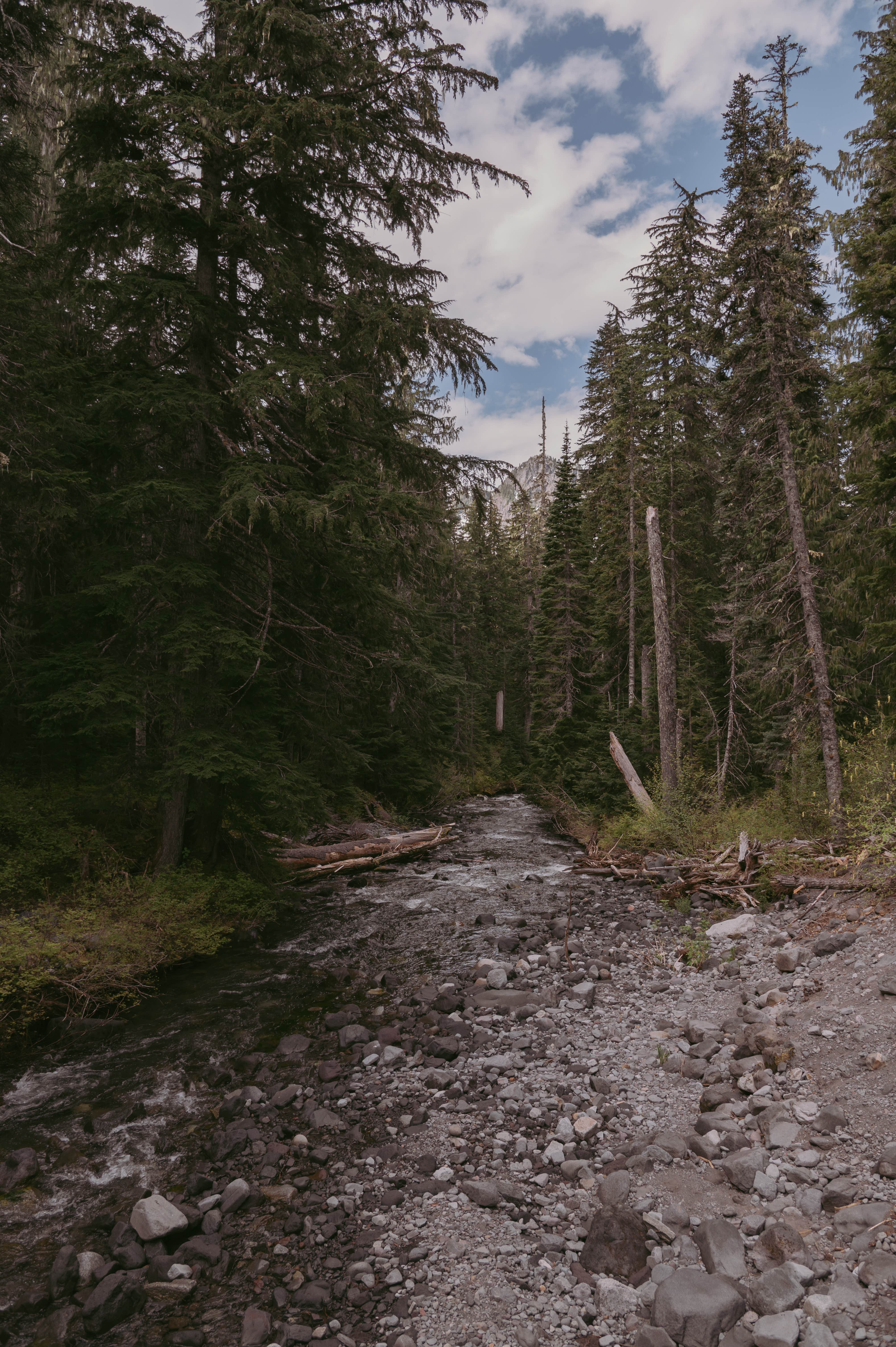 Camper-submitted photo at Paradise River Camp near Packwood, WA