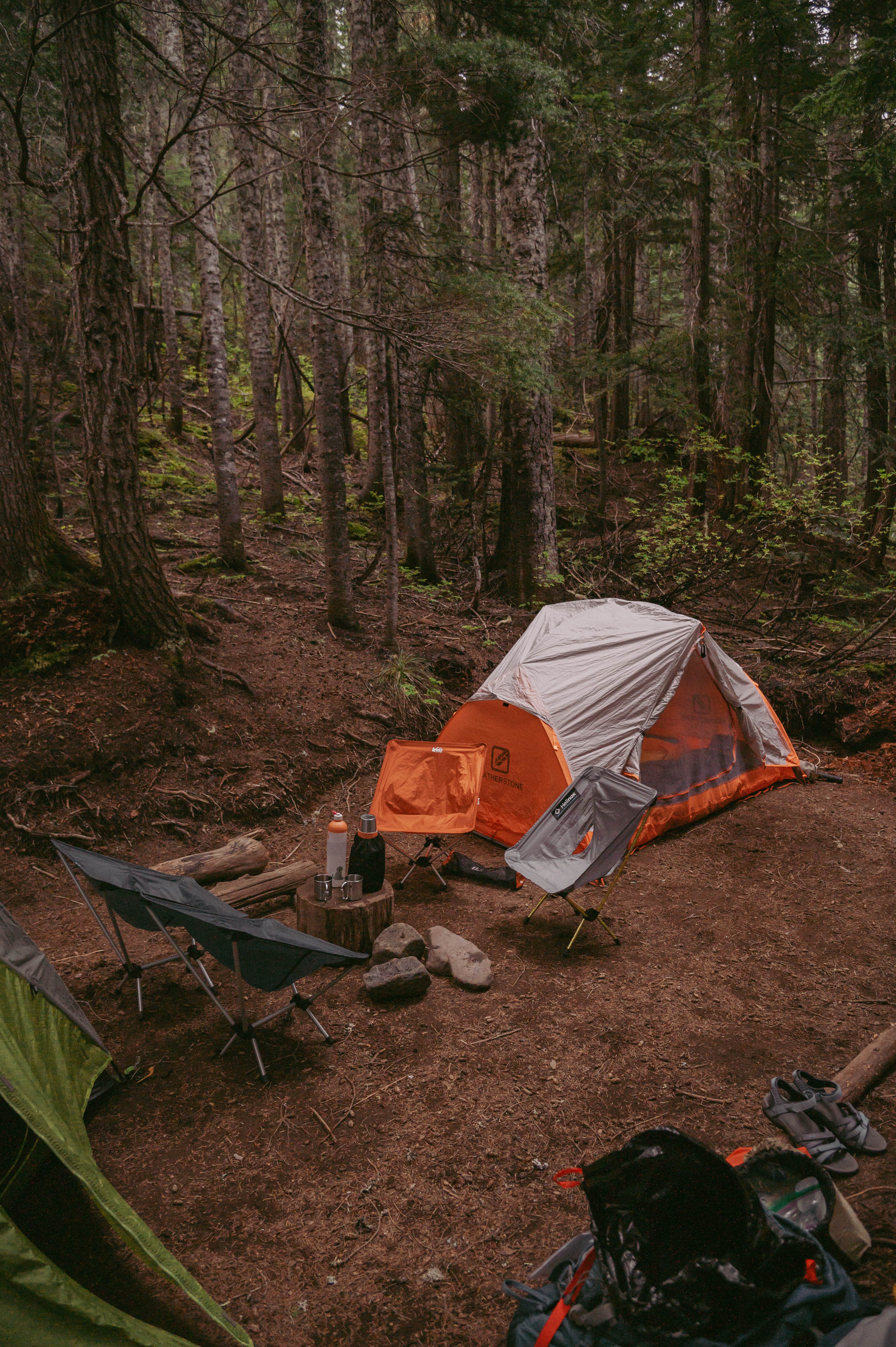 Camper-submitted photo at Paradise River Camp near Packwood, WA