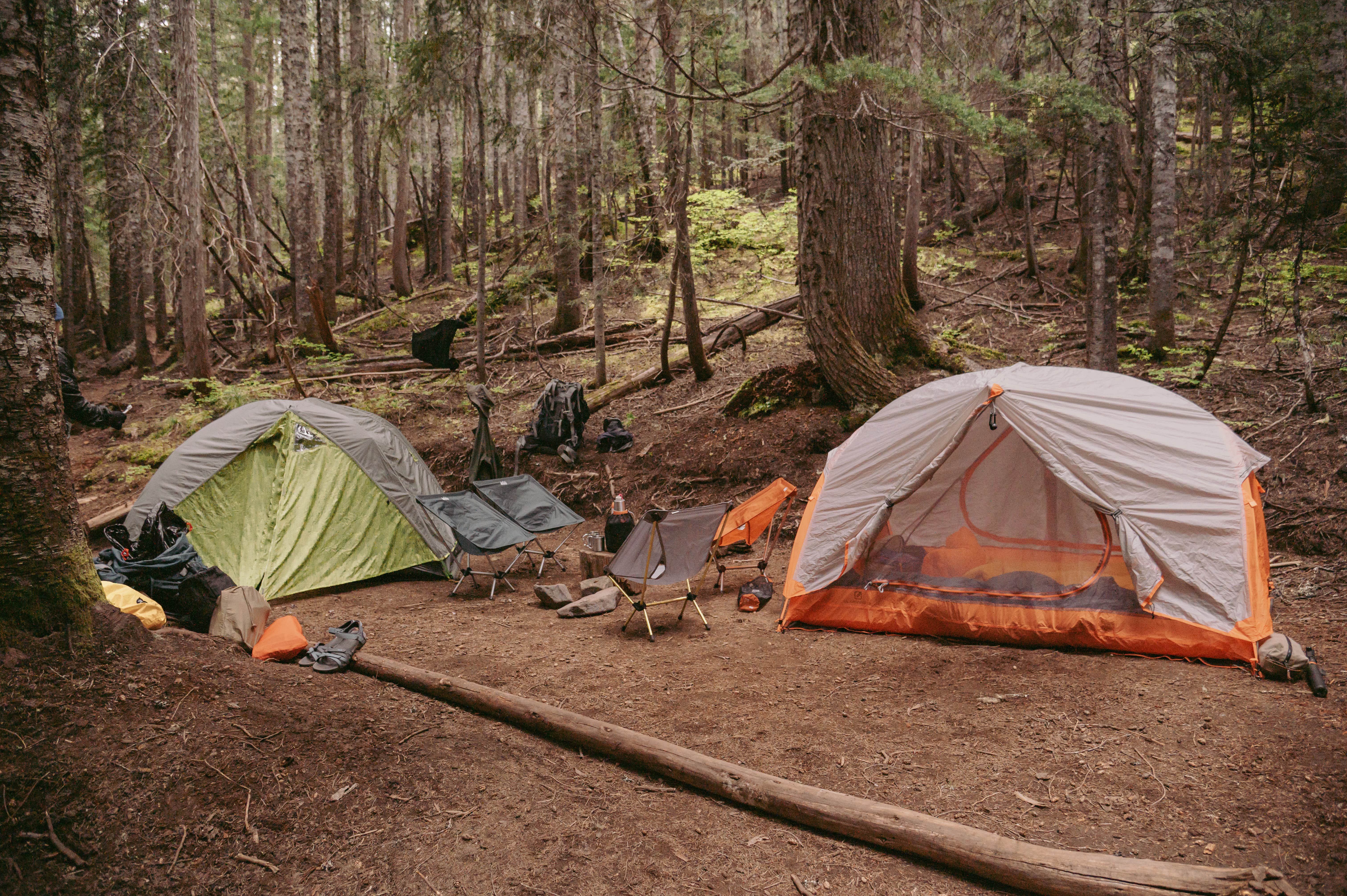 Paradise River Camp