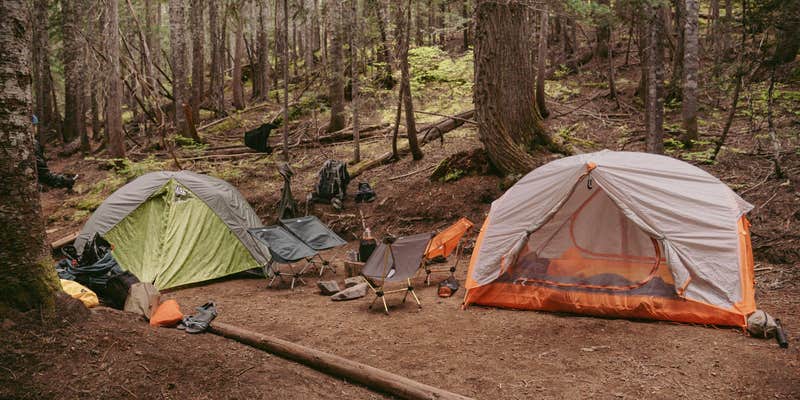 Camper submitted image from Paradise River Camp