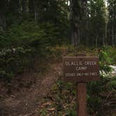 Review photo of Ollalie Creek Camp by Elise A., July 21, 2026