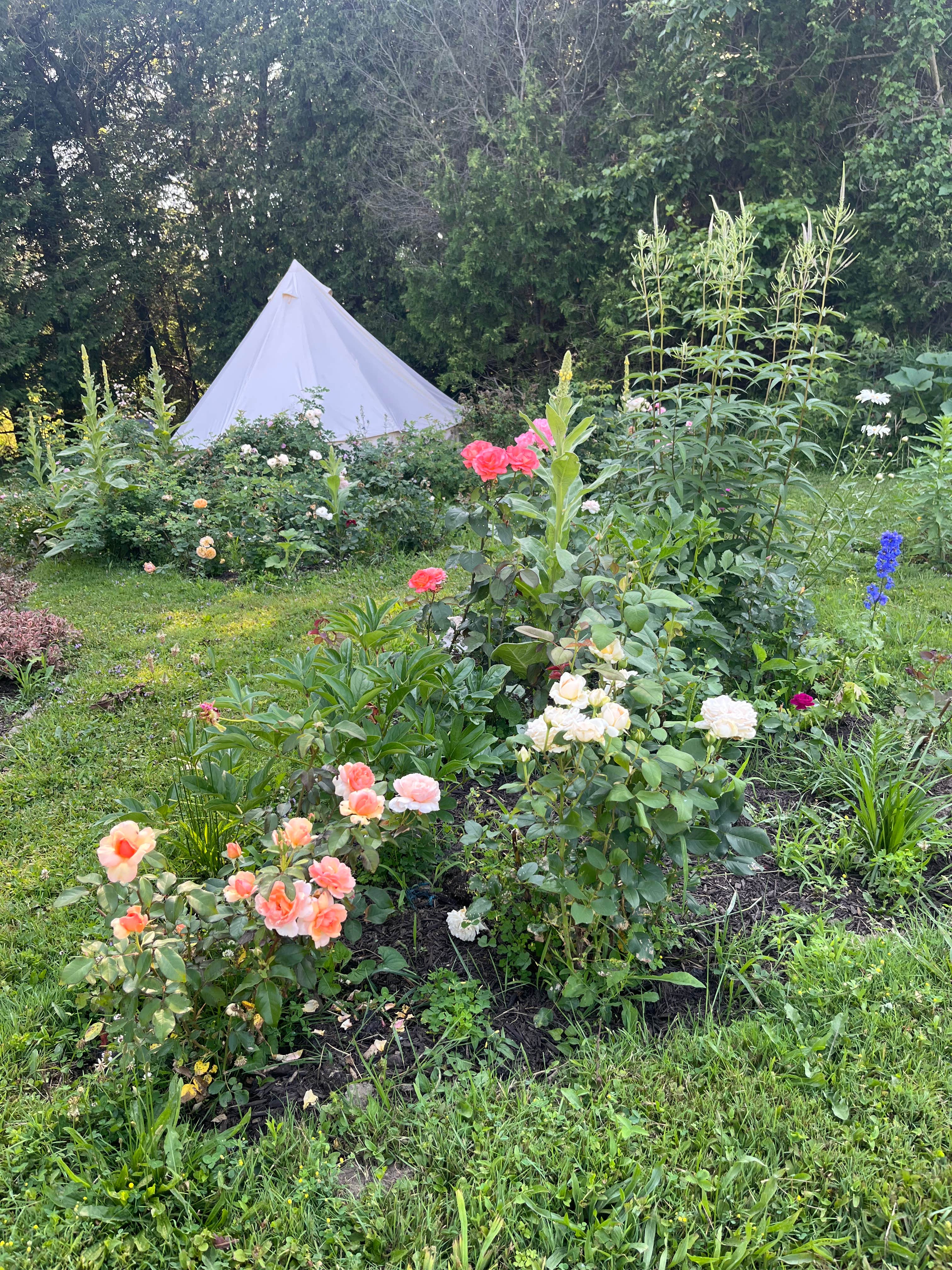 Roseview Farm