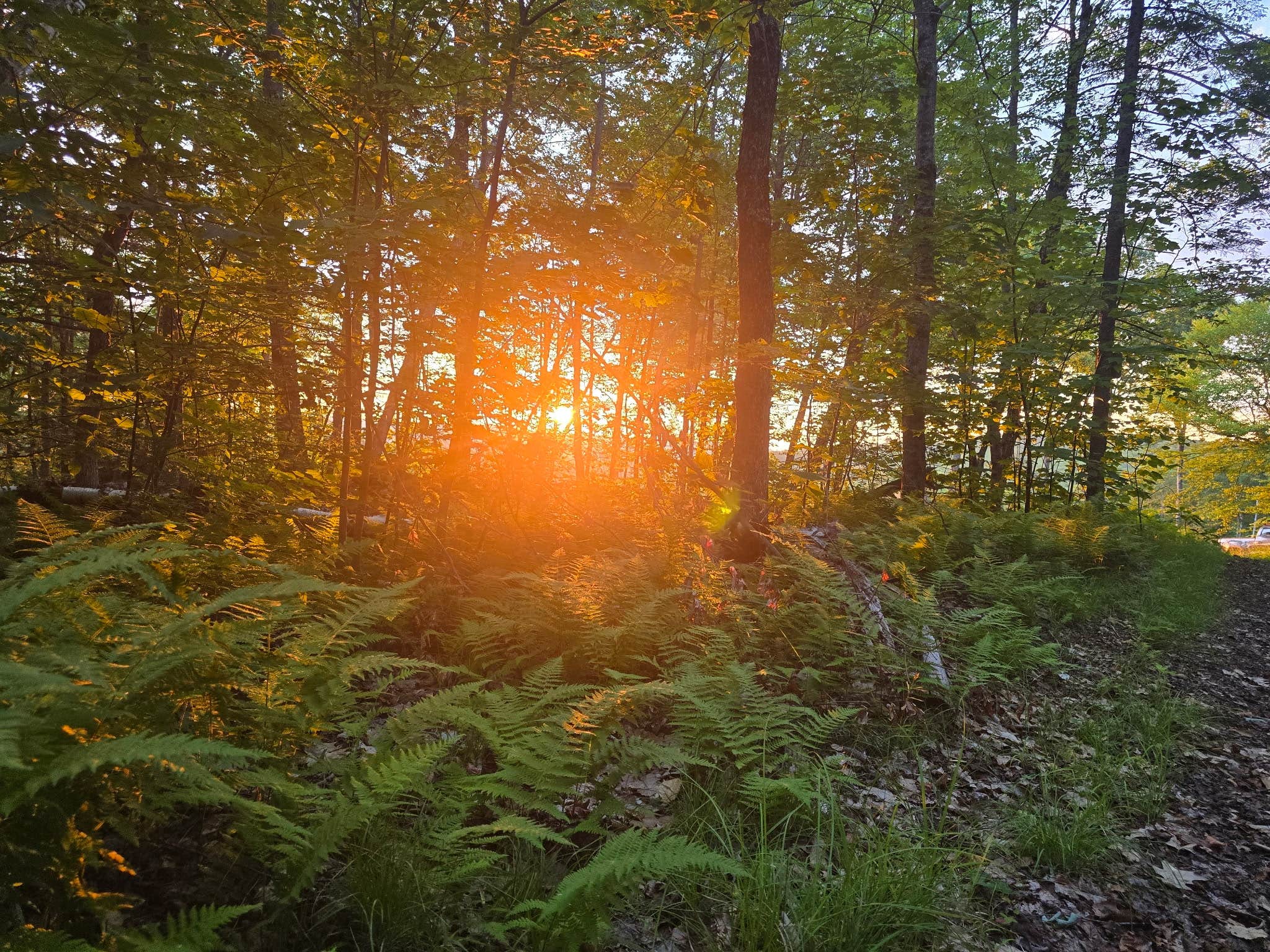 Camping near Mohawk Trail State Forest Campground: Ballou Mountain Base Camp, Marlboro, Vermont