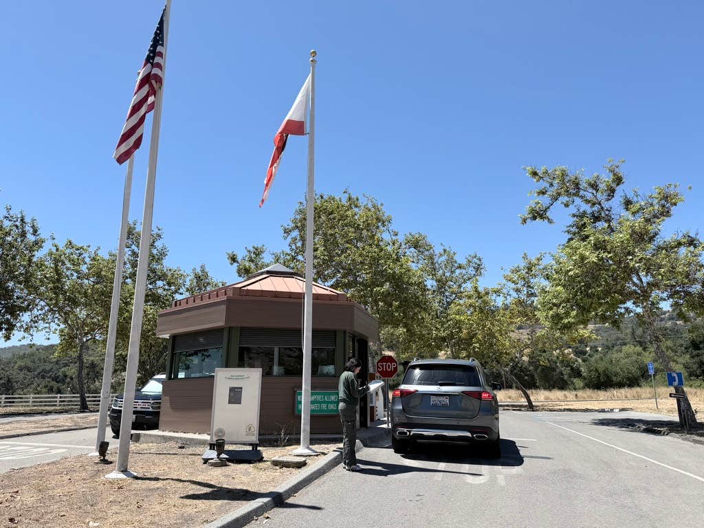 Camper-submitted photo at Joseph D. Grant County Park near San Juan Bautista, CA