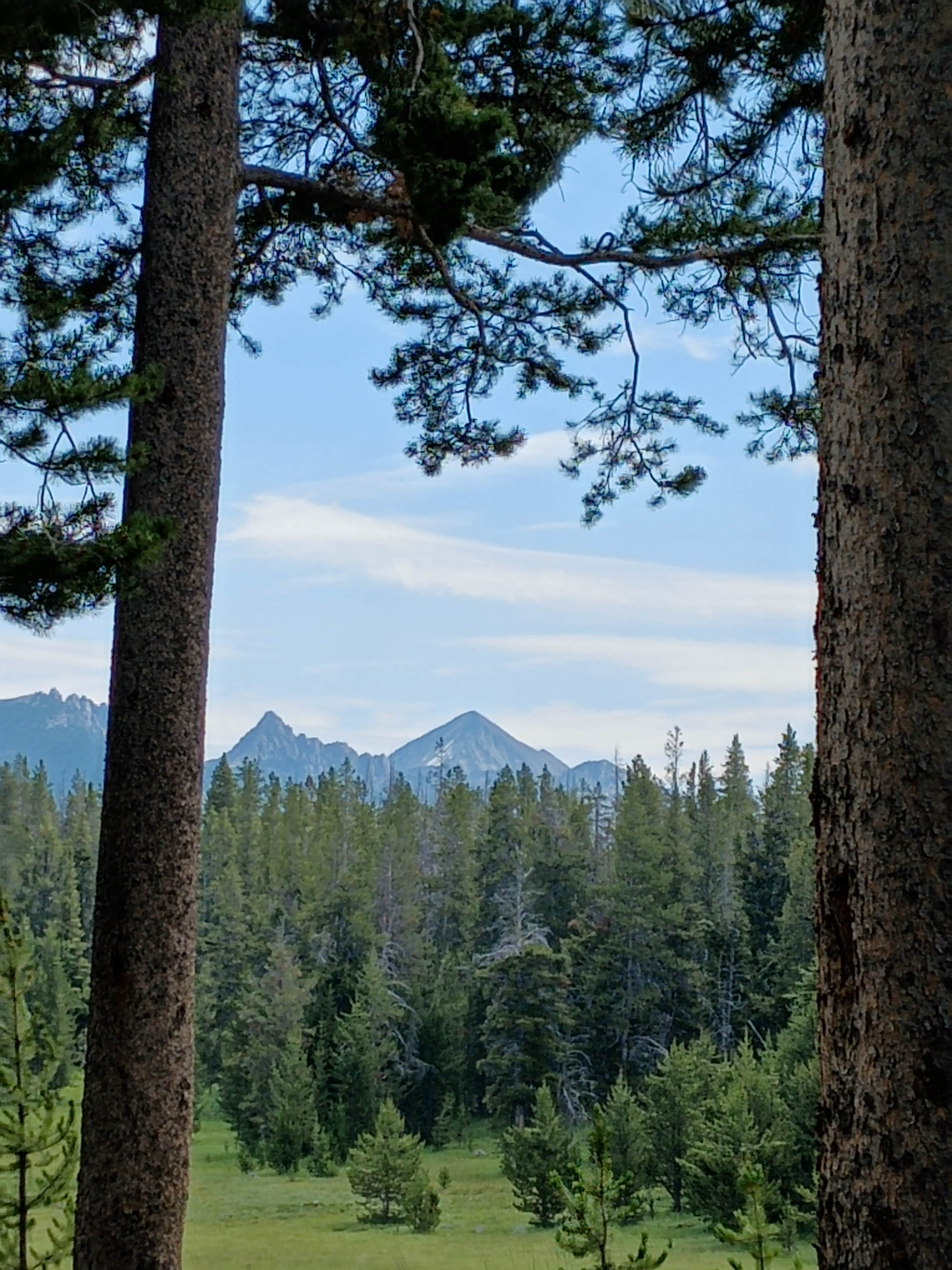 Camper-submitted photo at Little Joe near Jackson, MT