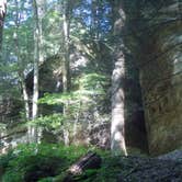 Review photo of Hocking Hills State Park Campground by Andrew S., September 30, 2016