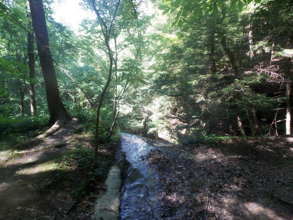 Camper submitted image from Hocking Hills State Park Campground - 5