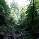 Review photo of Carter Caves State Resort Park by Andrew S., September 30, 2016