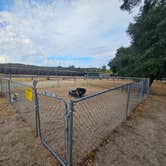 Review photo of BOULEVARD / CLEVELAND NATIONAL FOREST KOA HOLIDAY by Crystal M., July 26, 2026