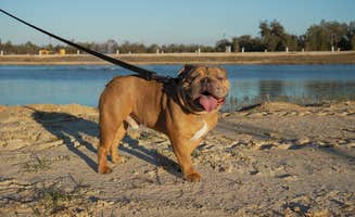 John E.'s photo of camping with pets at Preservation Point RV Resort near Inverness, FL