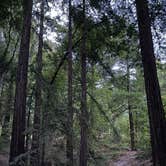 Review photo of Ventana Campground by Chia-Chia W., July 27, 2026