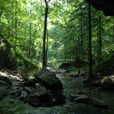 Review photo of Carter Caves State Resort Park by Andrew S., September 30, 2016